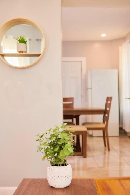 Cozy Apartment 1St 10Min Walk Downtown And City View Πρόβιντενς Εξωτερικό φωτογραφία